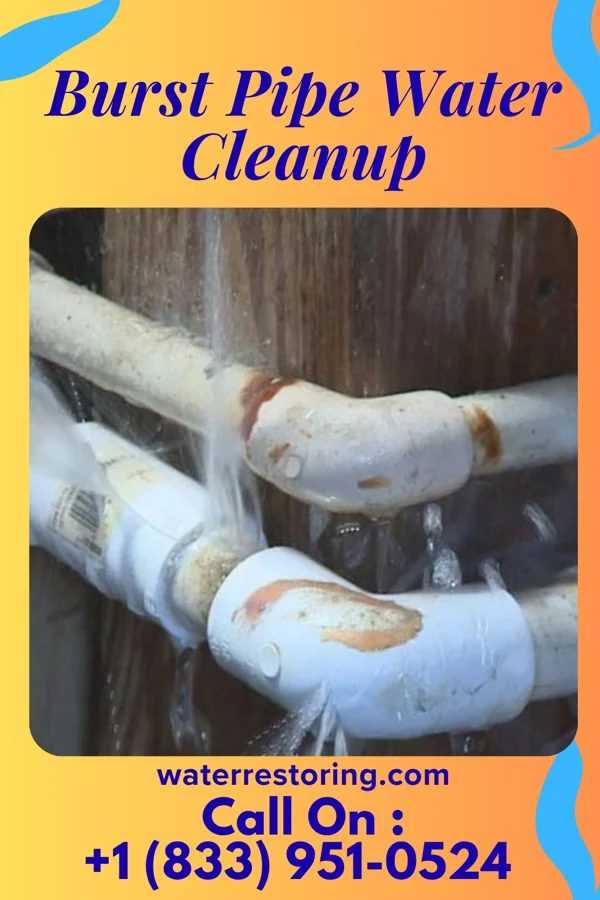 Burst Pipe Water Cleanup in Millersburg, KY