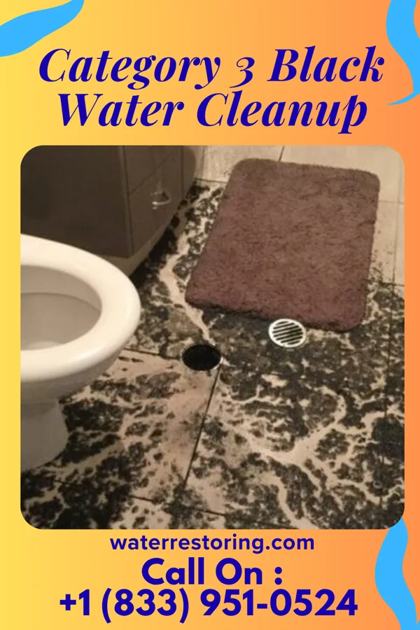 Category 3 Black Water Cleanup in Millersburg, KY