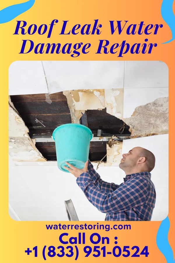 Roof Leak Water Damage Repair in Millersburg, KY