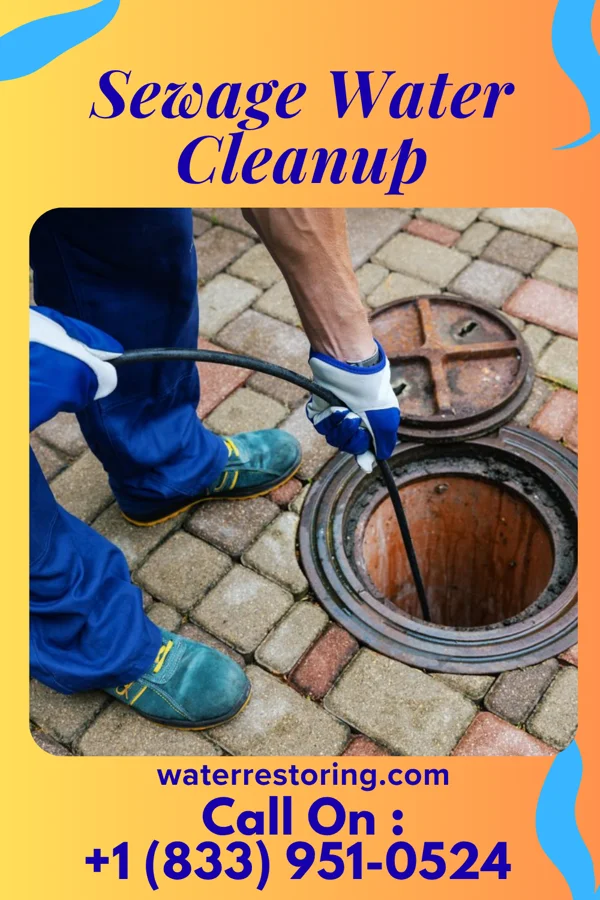 Sewage Water Cleanup in Millersburg, KY