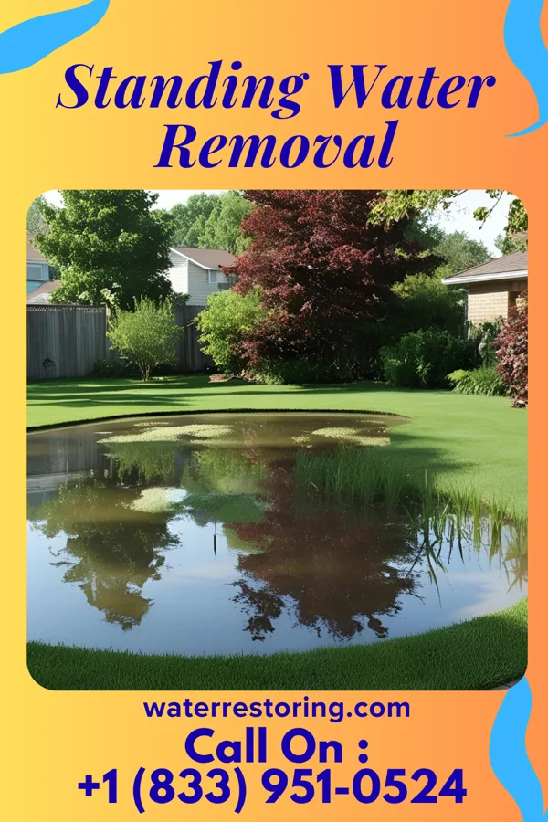 Standing Water Removal in Millersburg, KY